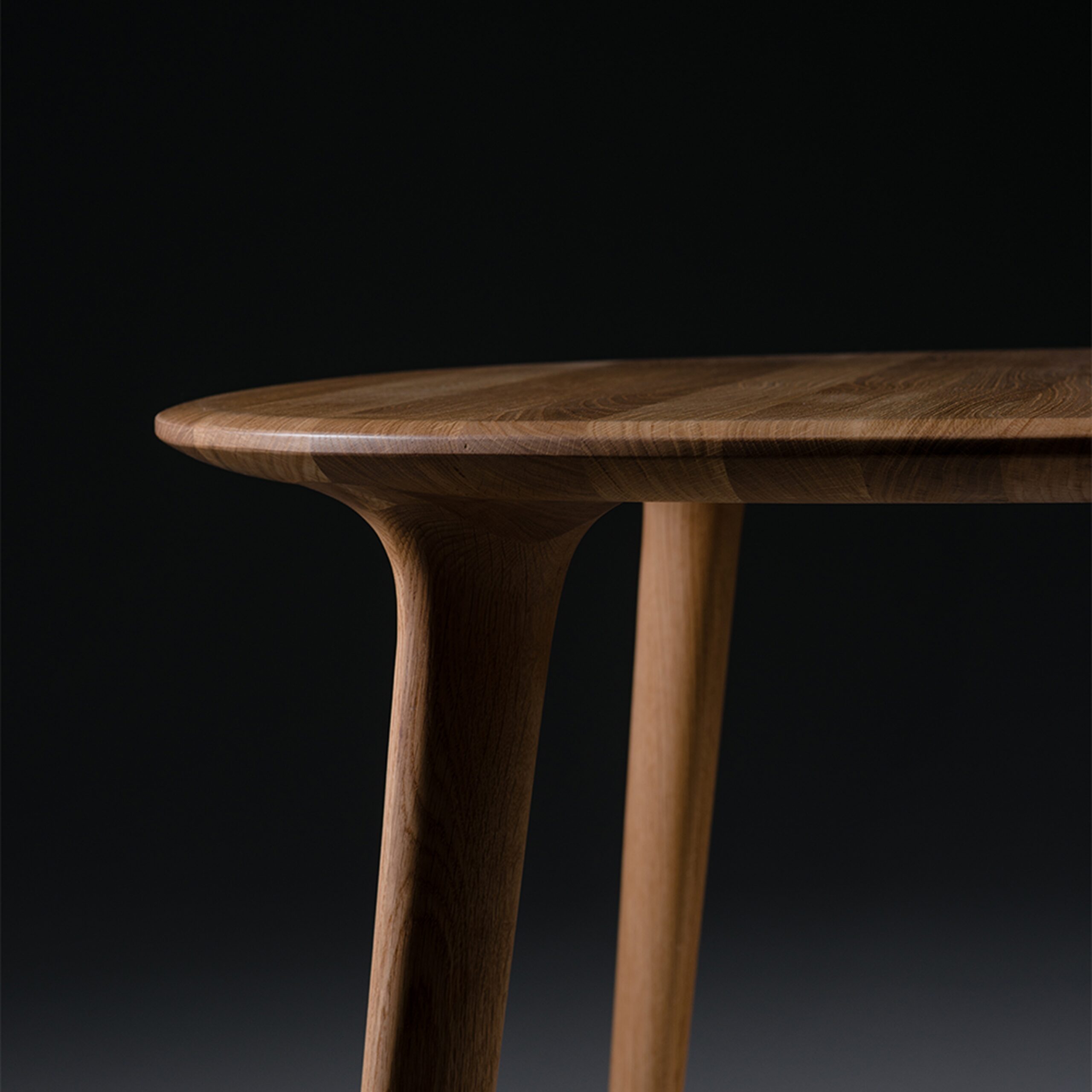 Luc round table - Image 6